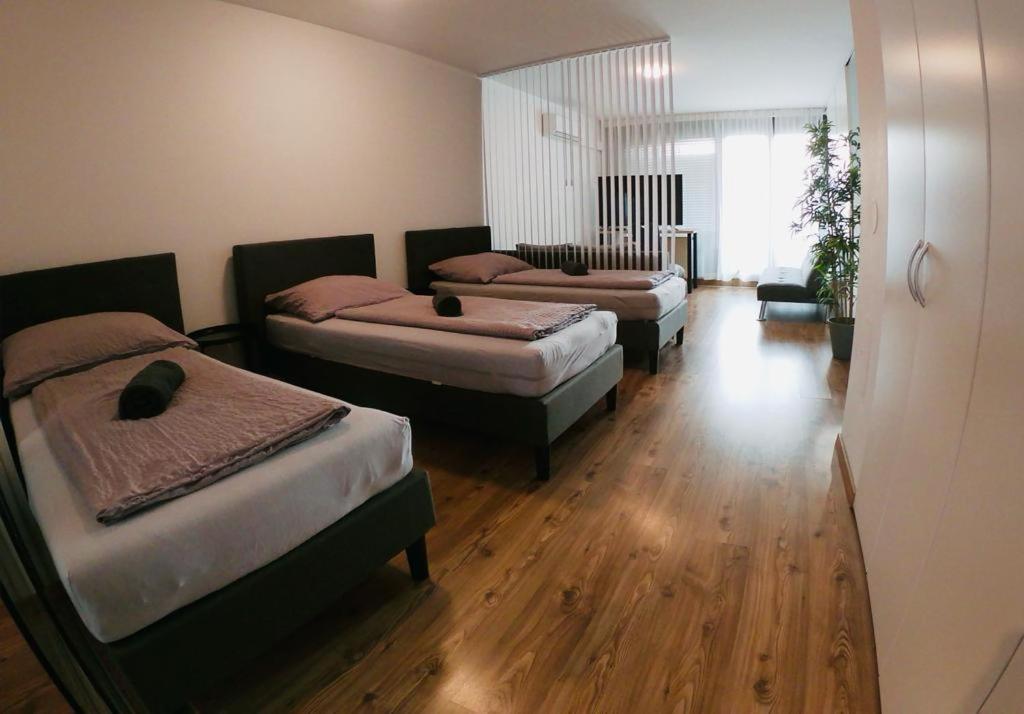 וינה Aspern Nationalpark Apartment מראה חיצוני תמונה